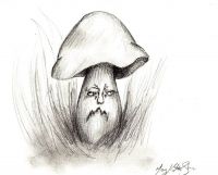 Grumpy Mushroom